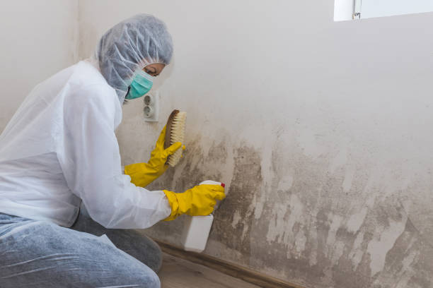 Best Crawl Space Mold Removal  in Gnadenhutten, OH