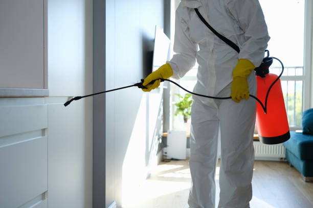 Certified Mold Removal in Gnadenhutten, OH