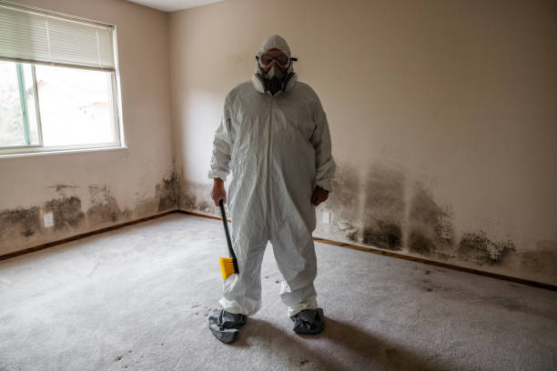 Best Commercial Mold Removal  in Gnadenhutten, OH