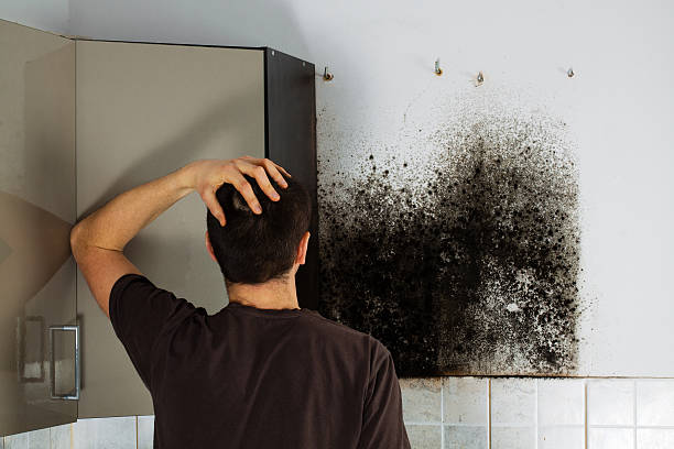 Best Residential Mold Removal  in Gnadenhutten, OH